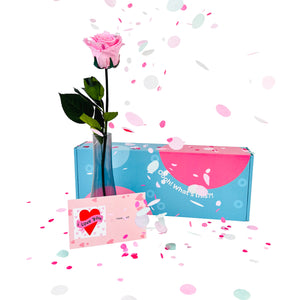 1 Pink Rose Box