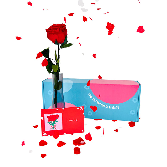 Exploding Red Rose Confetti-Exploding Eternity Rose Box - Red – Boomf