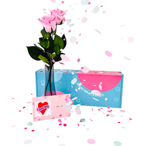 2 Pink Roses Box
