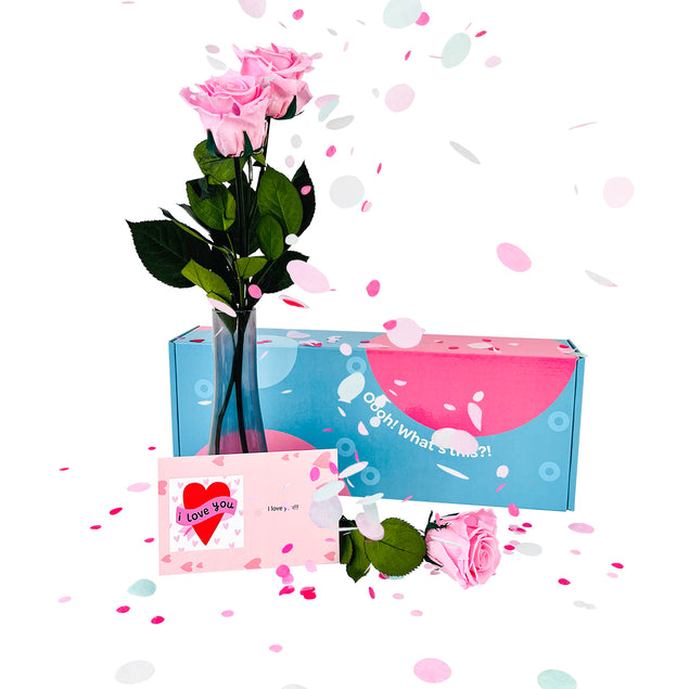 Confetti-Exploding Eternity Rose Box - Pink