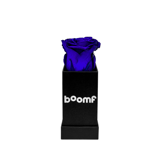 Confetti-Exploding Eternity Rose Head Box - Blue