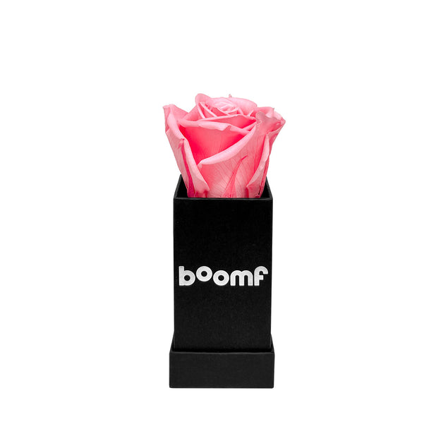 Pink Eternity Rose Head In Confetti Surprise Box