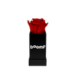 Confetti-Exploding Eternity Rose Head Box - Red