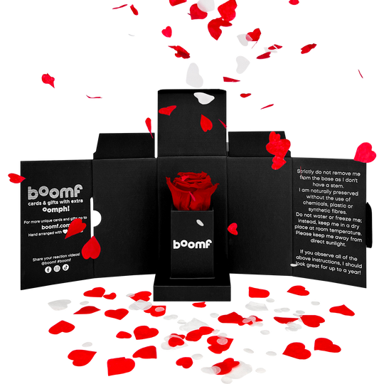 Confetti-Exploding Eternity Rose Head Box - Red