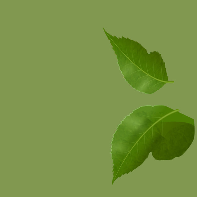 Red Rose 3D Pop-up Card