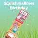 Squishmallows Birthday Cannon Confetti Shooter Card