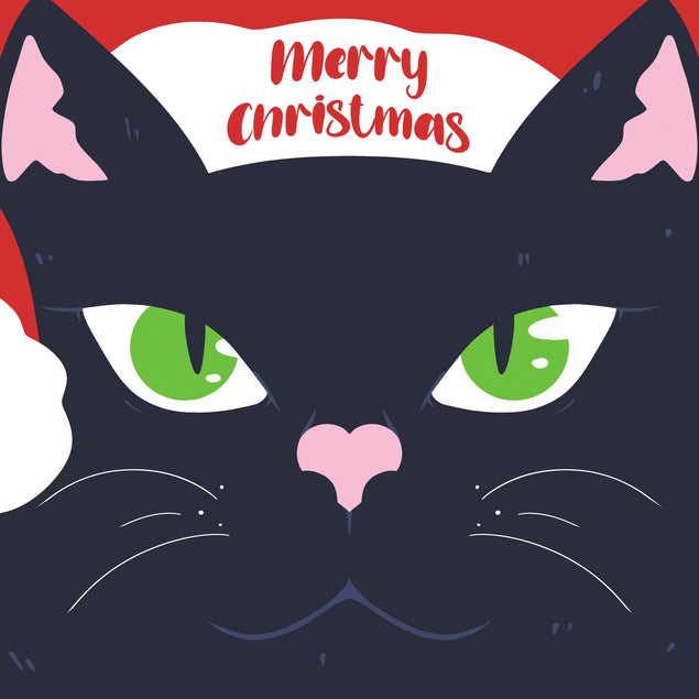 Merry Christmas Black Cat Confetti-exploding Greetings Card