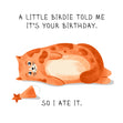 A Little Birdie Cute Cat Happy Birthday Greetings Card