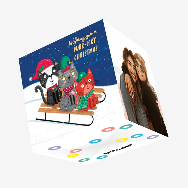 Purr-fect Christmas - Cats Sledge Confetti-exploding Greetings Card