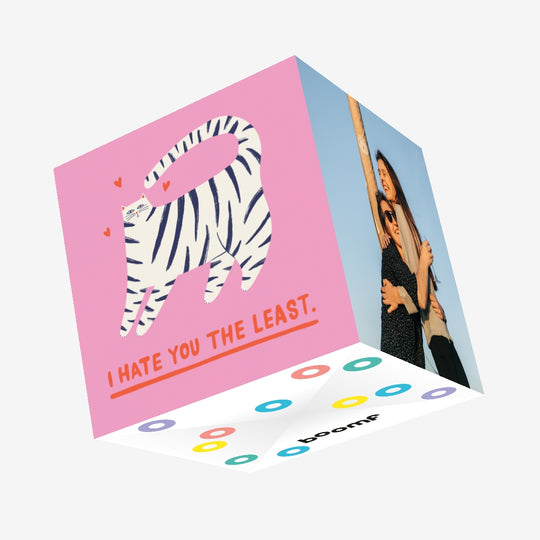 I Hate You The Least Funny Cat Confetti-exploding Greetings Card