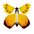Bumble-Bee Butterfly