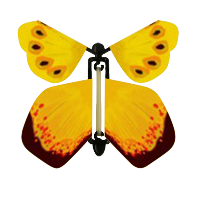 Bumble-Bee Butterfly