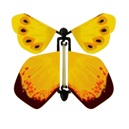 Bumble-Bee Butterfly