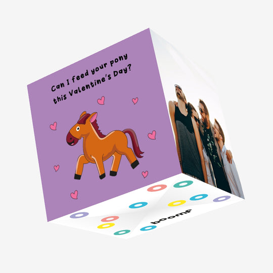 Can I Feed Your Pony Valentine's Day Confetti-exploding Greetings Card