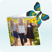 Butterfly Cards