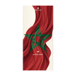 Morocco Football World Cup Cannon Confetti Shooter Card