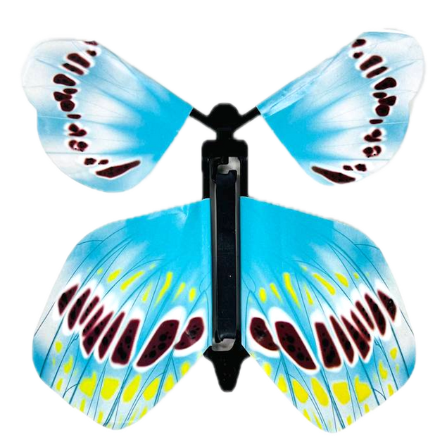 Ocean Wave Butterfly