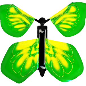 Green Yellow Butterfly