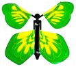 Green Yellow Butterfly