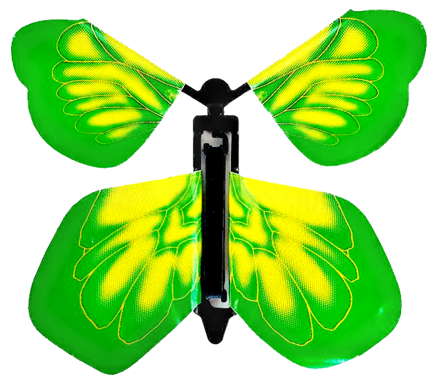 Green Yellow Butterfly