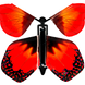Sunset Butterfly