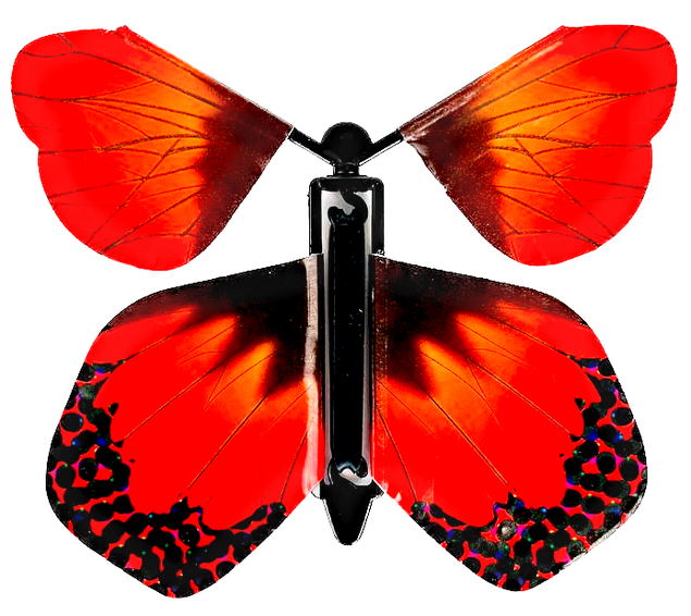 Sunset Butterfly