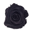 Confetti-Exploding Eternity Rose Head Box - Black