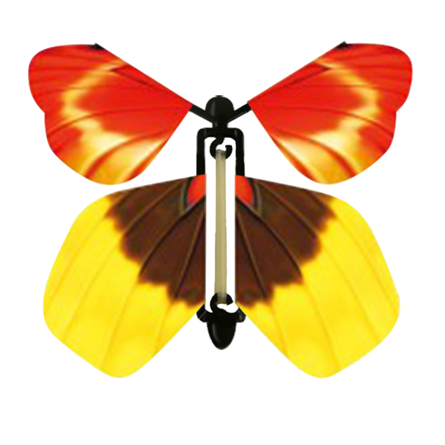 Sunrise Butterfly