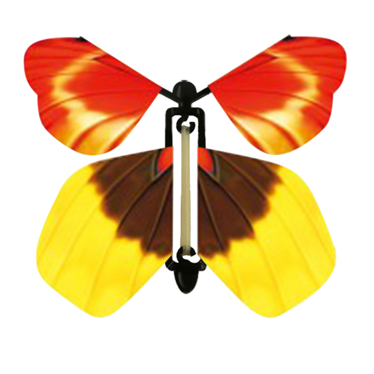 Sunrise Butterfly