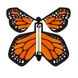 Tiger Butterfly