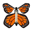 Tiger Butterfly