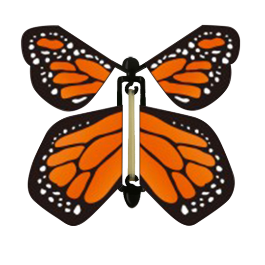 Tiger Butterfly
