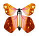 Tulip Butterfly