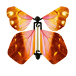 Tulip Butterfly