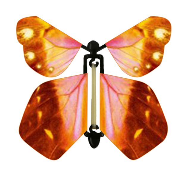 Tulip Butterfly