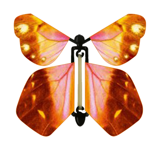 Tulip Butterfly