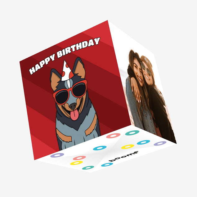 Cool Blue Heeler Dog Birthday Confetti-exploding Greetings Card