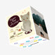Choose A Gift, Mummy Adorable Kitten Mother's Day Confetti-exploding Greetings Card