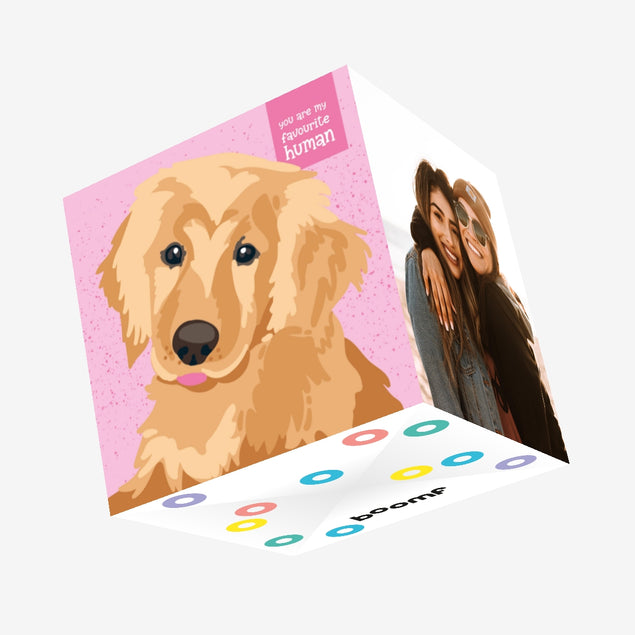 Golden Labrador On A Pink Background You're My Favourite Human Confetti-exploding Greetings Card