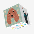 Spaniel Dog Confetti-exploding Greetings Card