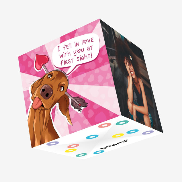 I Fell In Love With You At First Sight Funny Dachshund Valentine's Day Confetti-exploding Greetings Card