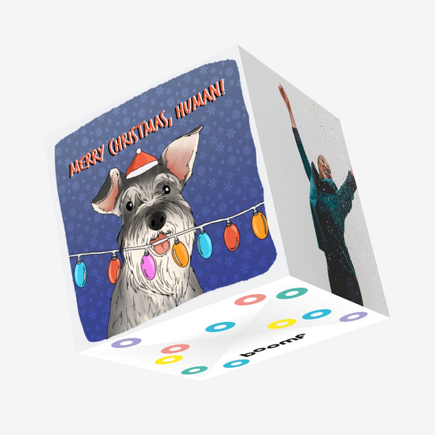 Merry Christmas Schnauzer Confetti-exploding Greetings Card