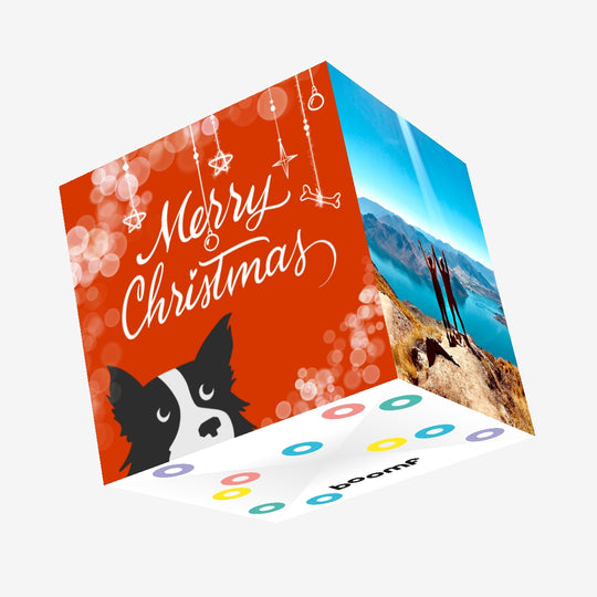 Merry Christmas Cute Border Collie And A Bone Confetti-exploding Greetings Card