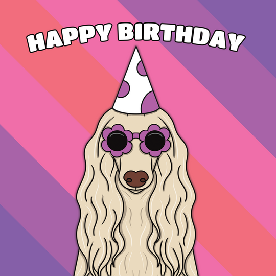 Cool Afghan Hound Dog Birthday Card