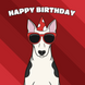 Cool Bull Terrier Dog Birthday Card