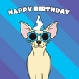 Chihuahua Dog Birthday - 1