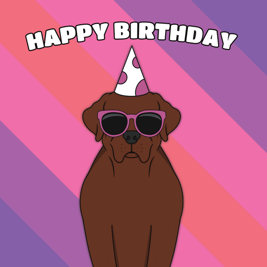 Cool Chocolate Labrador Dog Birthday Card