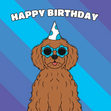 Cockerpoo Dog Birthday - 1