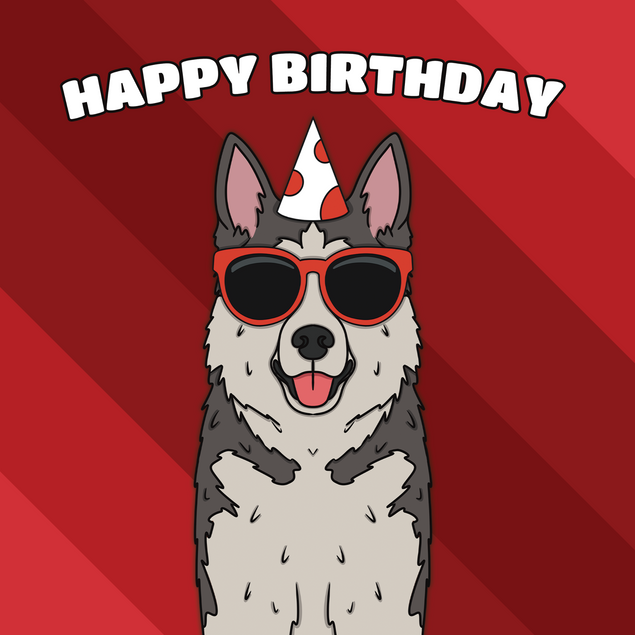 Husky Dog Birthday - 1