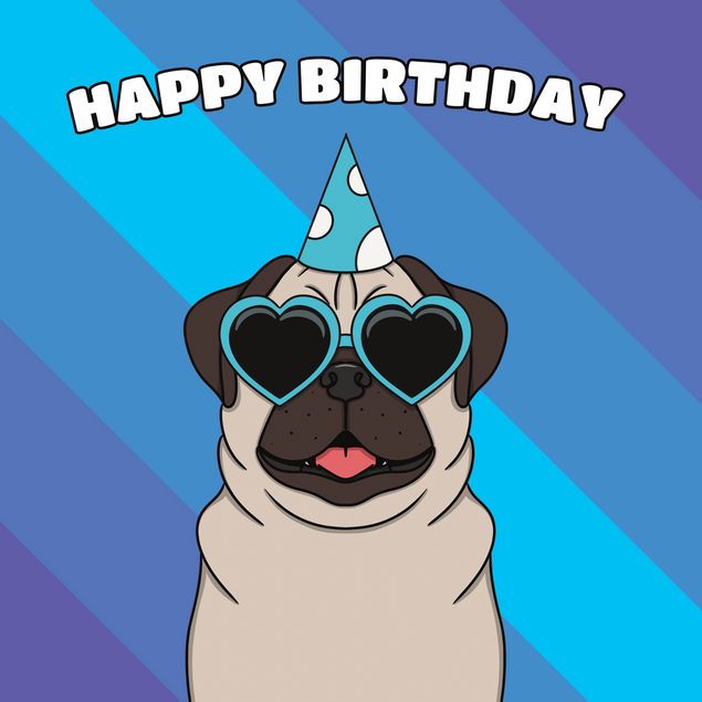 Pug Dog Birthday - 1